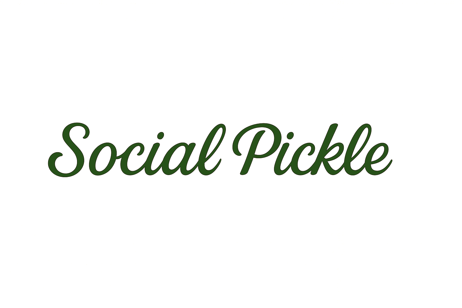 The Social Pickle Connect Play Share Pickleball